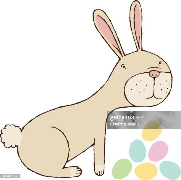 easter bunny - cottontail rabbit stock illustrations