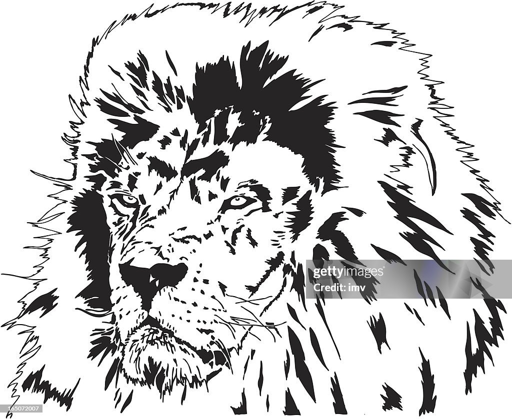 Lion head vector