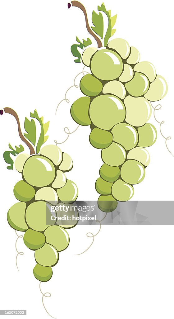Green Grape