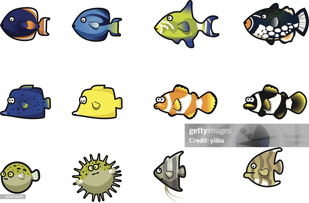 Vector tropical or aquarium fish