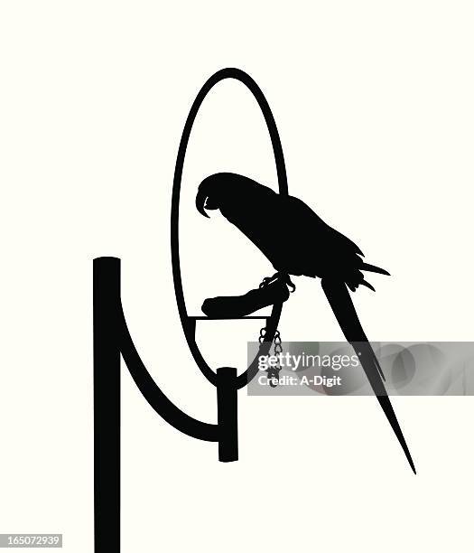 parrot vector silhouette - parrot stock illustrations