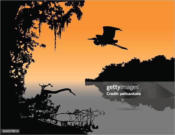 delta twilight - swamp trees stock illustrations