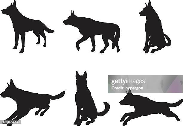 stockillustraties, clipart, cartoons en iconen met german shepherd silhouette collection - duitse herder