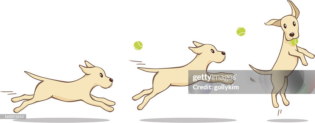 Fetch part 1
