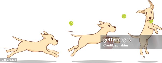 Fetch part 1 Fetch part 1