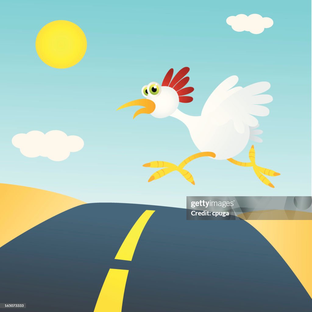 Chicken Crossing Road