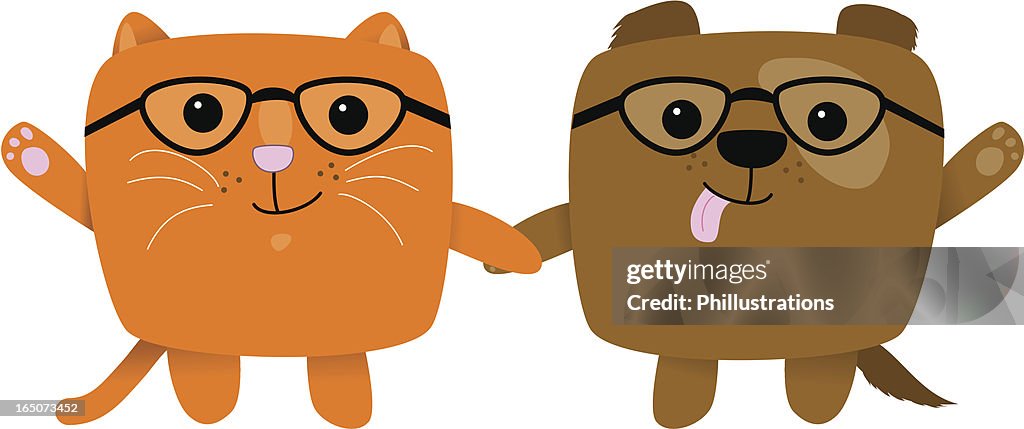 Friendship, cat and dog