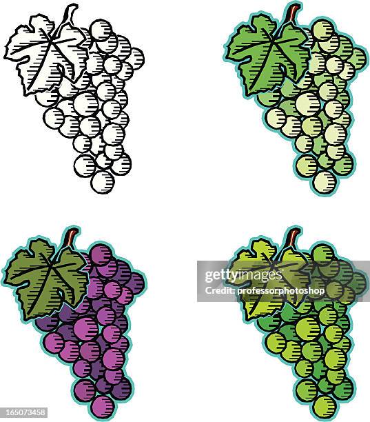ilustrações, clipart, desenhos animados e ícones de estampa xilográfica uvas - pinot noir grape