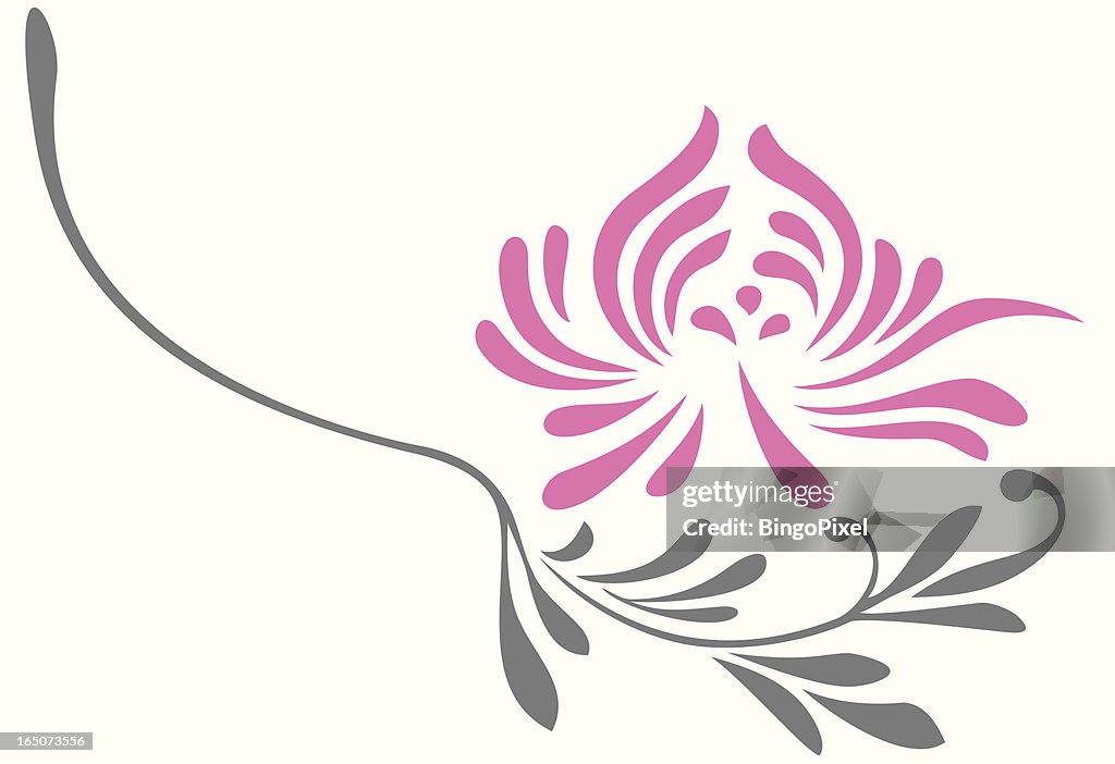 スタイリッシュな菊