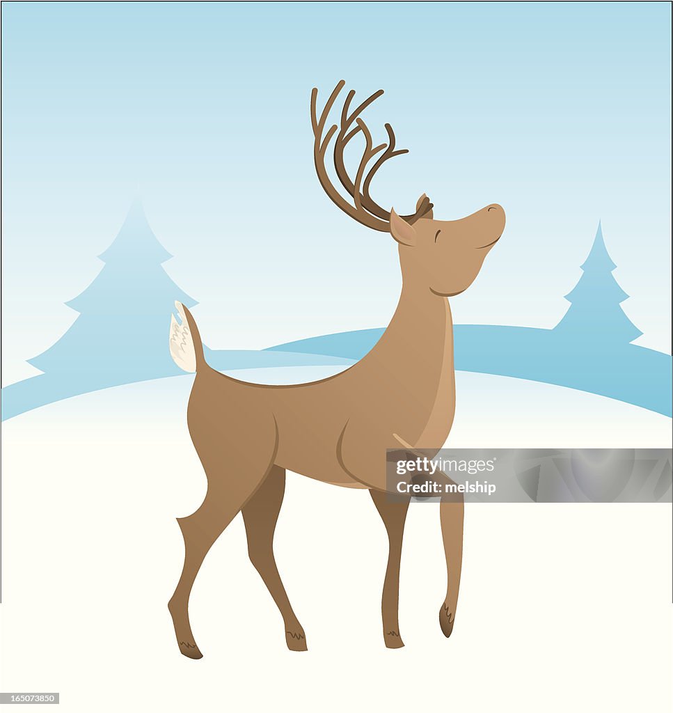 Winter Deer