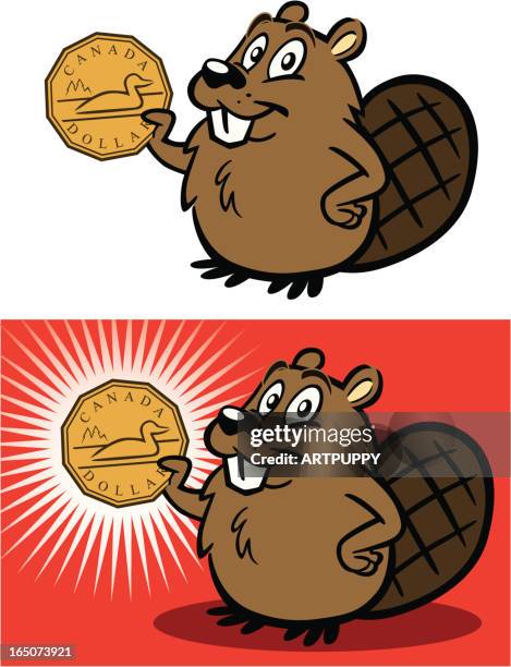 beaver with canadian dollar - funny beaver stock illustrations