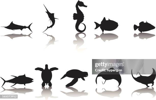 78 Ilustraciones de Manta Ray - Getty Images 78 Ilustraciones de Manta Ray - Getty Images