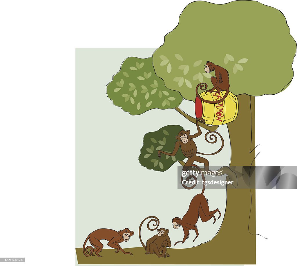Barrel of monkeys
