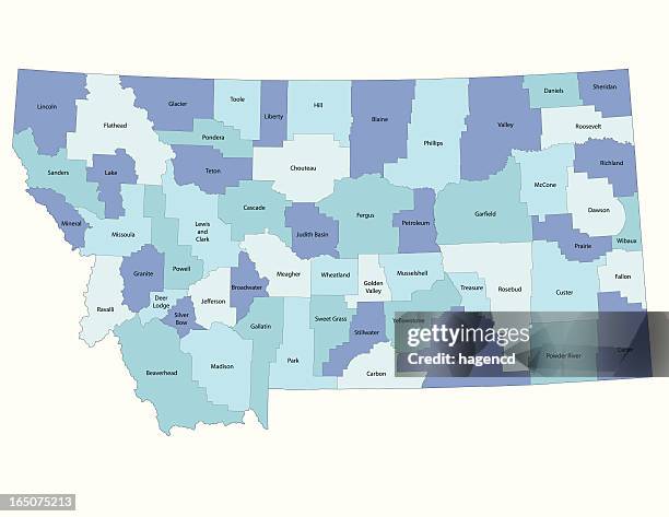montana state - county map - montana stock illustrations