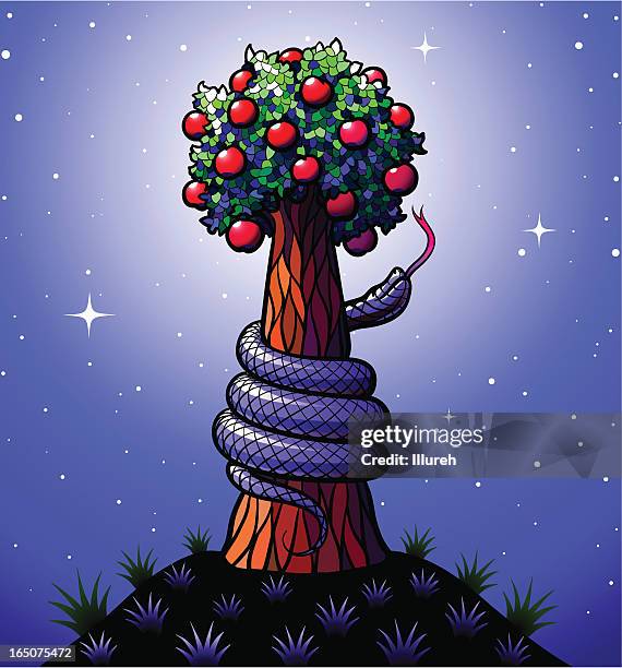 tree of knowledge good and evil - adam and eve stock illustrations