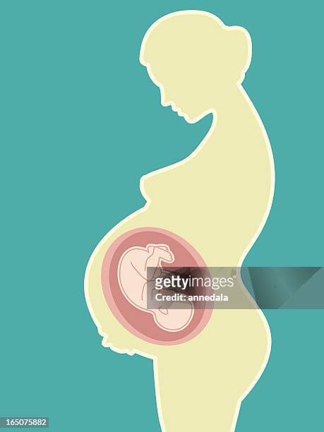 ilustrações de stock, clip art, desenhos animados e ícones de estar grávida - gravidez