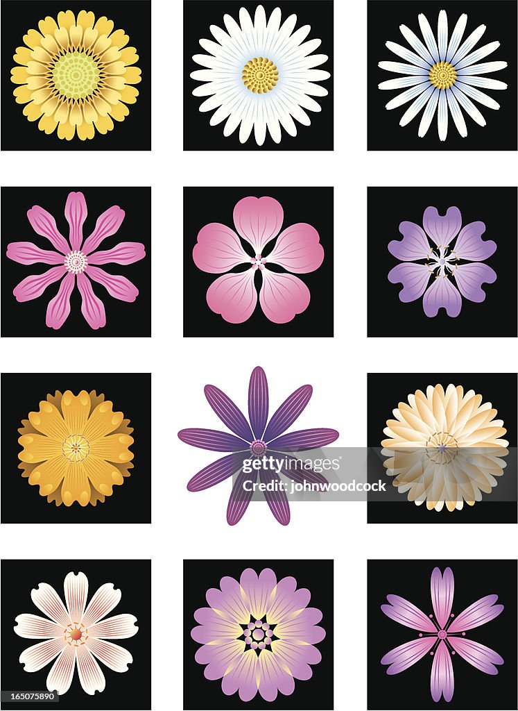 Flores
