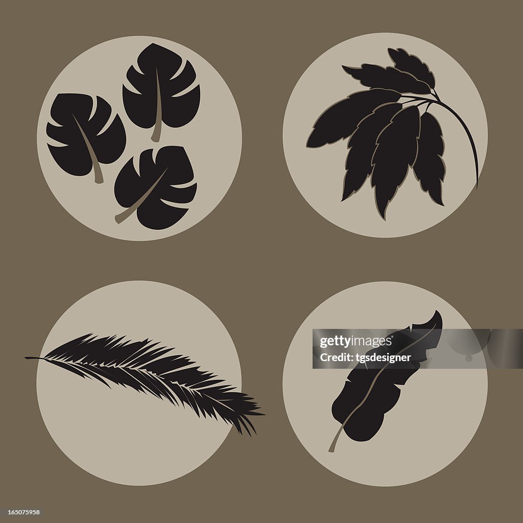Tropical leaves icons