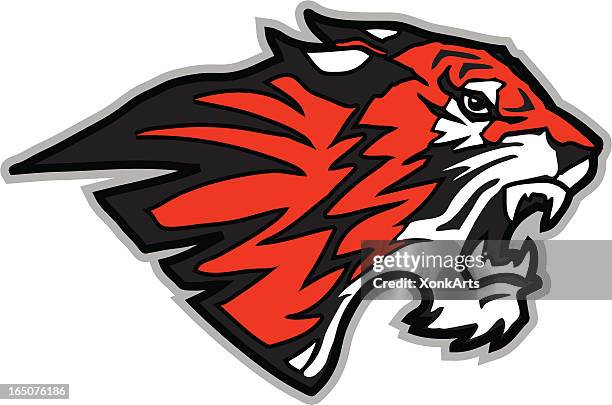tiger head2 - tiger face stock illustrations