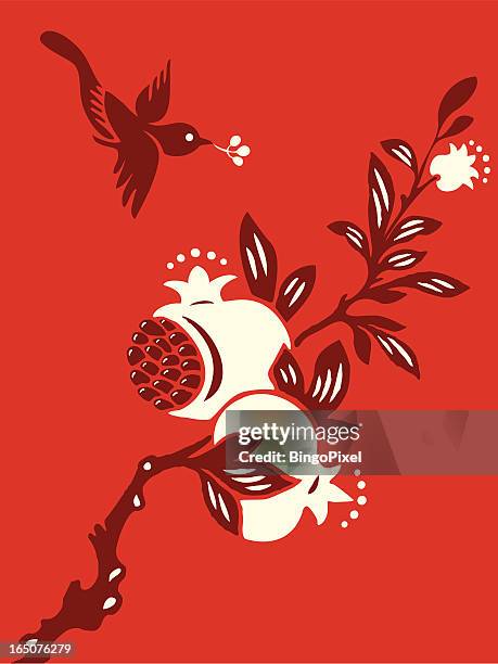 pomegranate bird delight - pomegranate stock illustrations