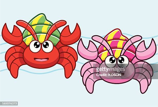 17 Hermit Crab Cartoon Illustrations - Getty Images