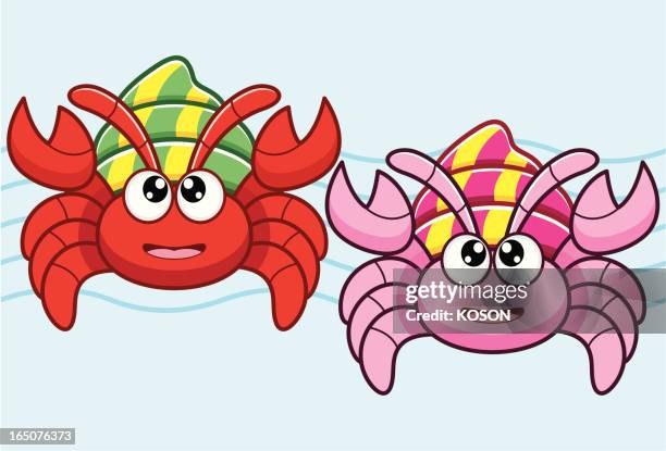17 Hermit Crab Cartoon Illustrations - Getty Images 17 Hermit Crab Cartoon Illustrations - Getty Images