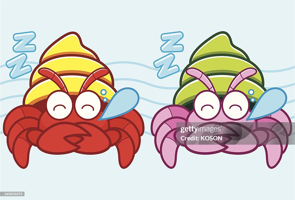 Hermit Crab Cartoon High-Res Vector Graphic - Getty Images