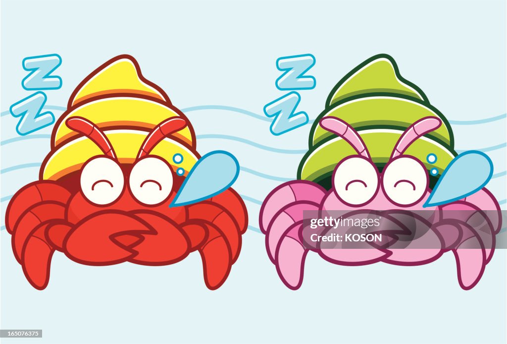 Hermit Crab Cartoon High-Res Vector Graphic - Getty Images Hermit Crab Cartoon High-Res Vector Graphic - Getty Images