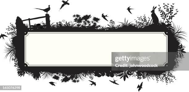 rural text box - pheasant bird stock illustrations