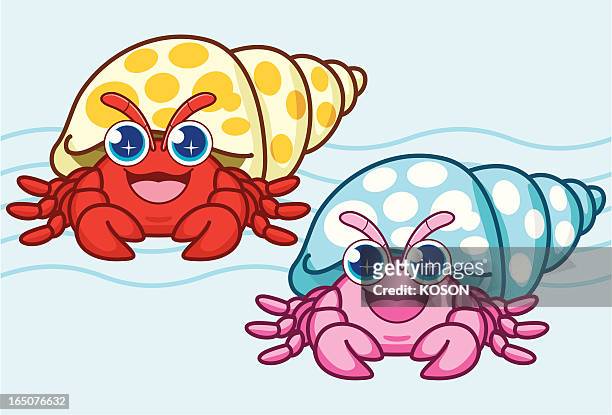 17 Hermit Crab Cartoon Illustrations - Getty Images