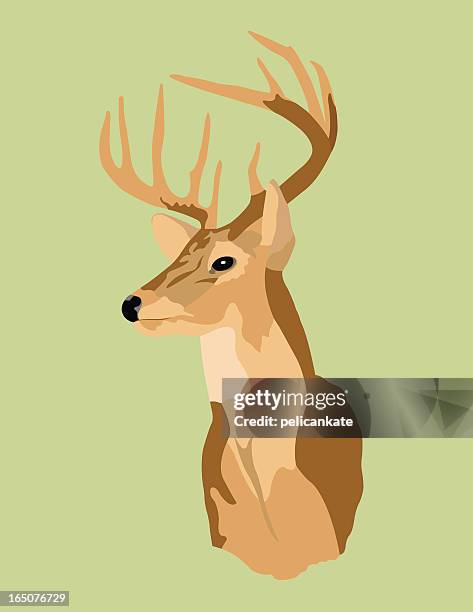 stockillustraties, clipart, cartoons en iconen met trophy deer - hertenbok