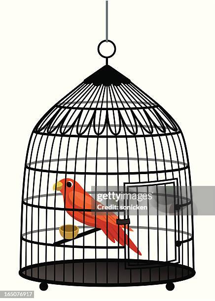 bird in cage - bird cage stock illustrations