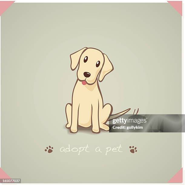 adopt-a-pet - yellow labrador retriever stock illustrations