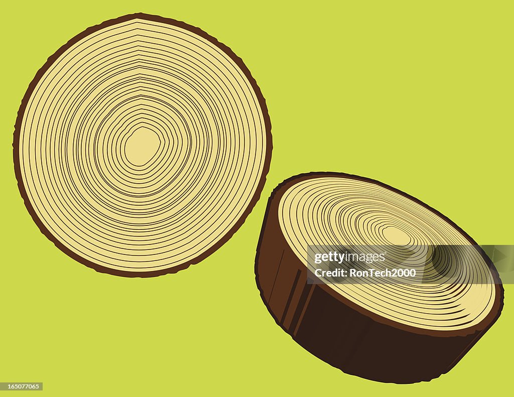 Tree Rings High-Res Vector Graphic - Getty Images