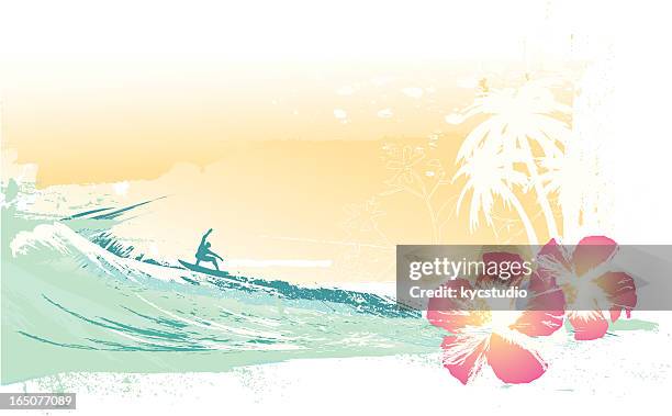 stockillustraties, clipart, cartoons en iconen met perfect wave in heaven - het grote eiland hawaï eilanden