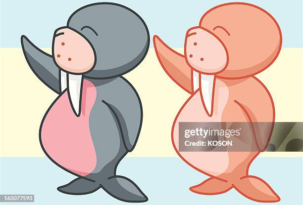 walrus cartoon - walrus stock illustrations