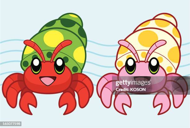 17 Hermit Crab Cartoon Illustrations - Getty Images 17 Hermit Crab Cartoon Illustrations - Getty Images