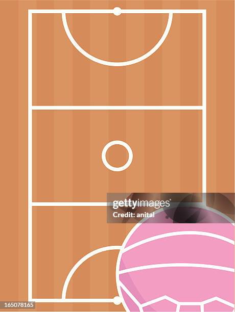 netball court and ball - netball court stock illustrations
