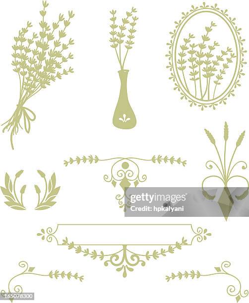 organics - lavender designs (vector) - bunch of flowers stock illustrations