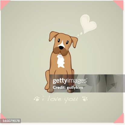 Boxer Boxer