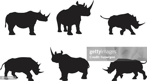 rhino silhouette kollektion - rhinoceros stock-grafiken, -clipart, -cartoons und -symbole