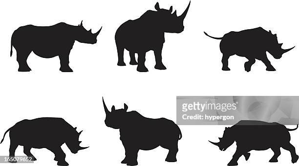 stockillustraties, clipart, cartoons en iconen met rhino silhouette collection - neushoorn