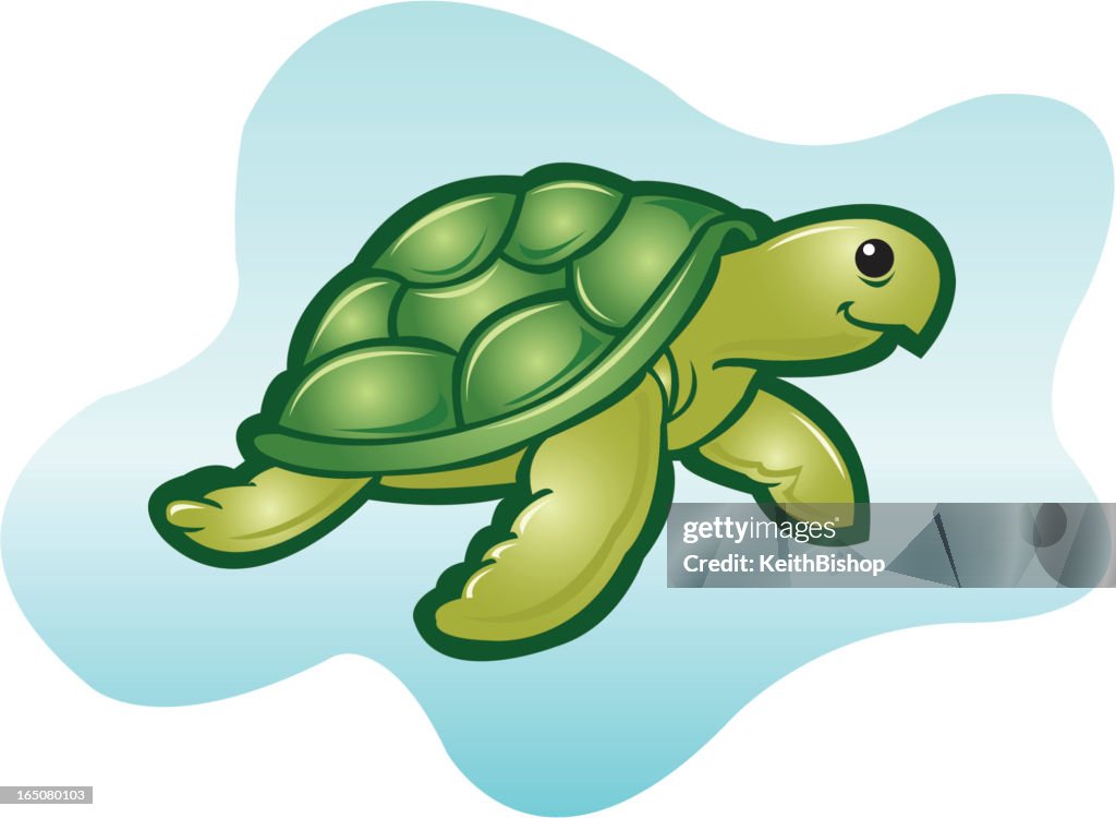 Turtle Rope Cartoon Cartoon Turtle