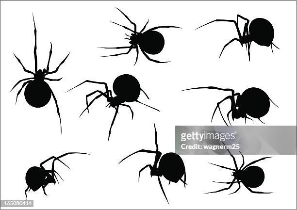 ilustraciones, imágenes clip art, dibujos animados e iconos de stock de conjunto de siluetas de vector de ocho scary spiders - black widow spider