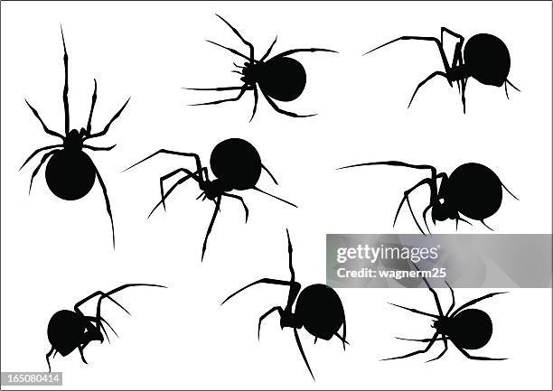 ilustrações, clipart, desenhos animados e ícones de conjunto de vetor de silhuetas de oito assustador spiders - aranha