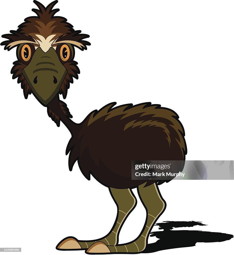 Emu Character In Cartoon Style High-Res Vector Graphic - Getty Images