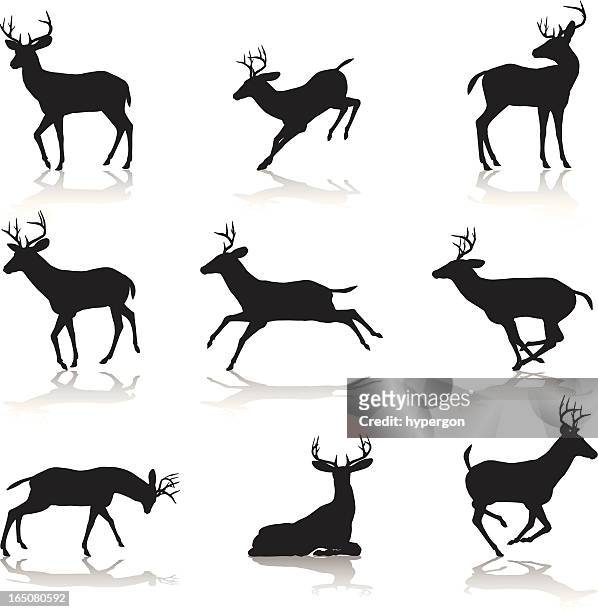 stockillustraties, clipart, cartoons en iconen met deer silhouette collection - stag