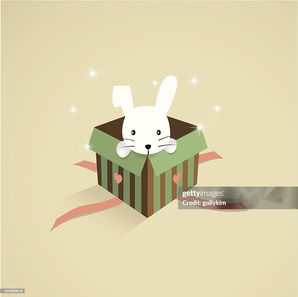 Rabbit in a Gift box