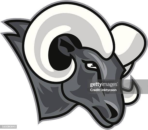 ram head - ram stock-grafiken, -clipart, -cartoons und -symbole