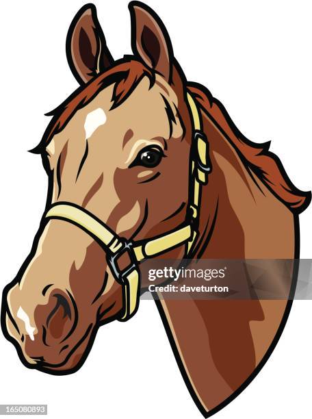 a graphic of a bridled horse head - horse heads stock illustrations